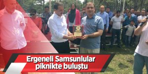 Ergeneli Samsunlular piknikte buluştu