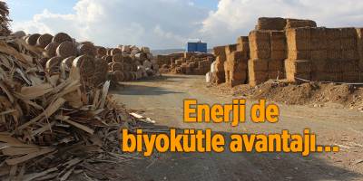 Enerji de biyokütle avantajı…