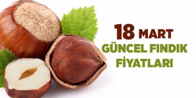 18 Mart güncel fındık fiyatları