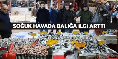 Soğuk havada balığa ilgi arttı