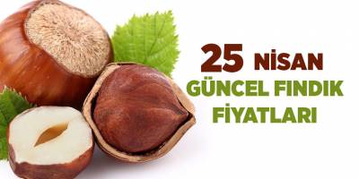 25 Nisan güncel fındık fiyatları