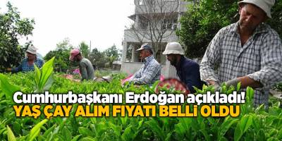 Cumhurbaşkanı Erdoğan açıkladı! Yaş çay alım fiyatı belli oldu