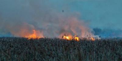 Kızılırmak Deltası'nda çıkan yangın büyümeden söndürüldü - samsun haber