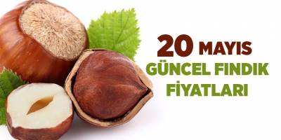 20 Mayıs güncel fındık fiyatları