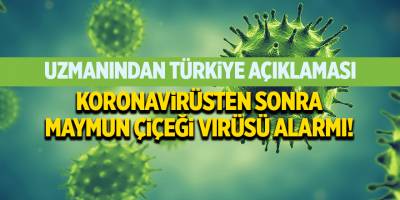 Koronavirüsten sonra Maymun Çiçeği virüsü alarmı!