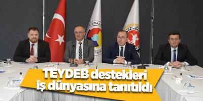 TEYDEB destekleri iş dünyasına tanıtıldı - samsun haber