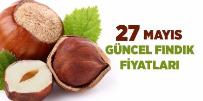 27 Mayıs güncel fındık fiyatları