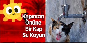 Atakum Sokak Hayvanlarını Unutmadı