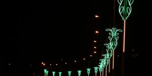 Kavak ışıl ışıl 