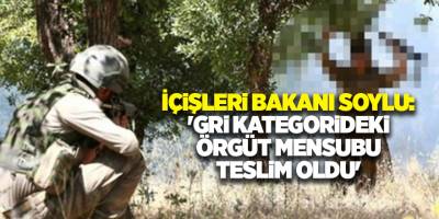 İçişleri Bakanı Soylu: 'Gri kategorideki örgüt mensubu teslim oldu'