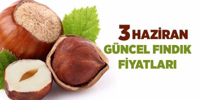 3 Haziran güncel fındık fiyatları