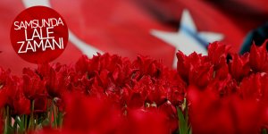 Samsun'da lale zamanı