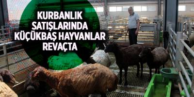 Kurbanlık satışlarında küçükbaş hayvanlar revaçta