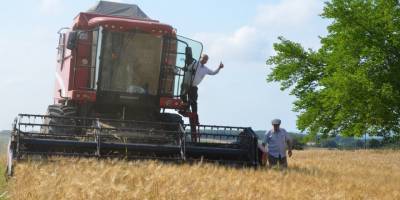 Anız yakma yasağına uymayanlara ceza - samsun haber