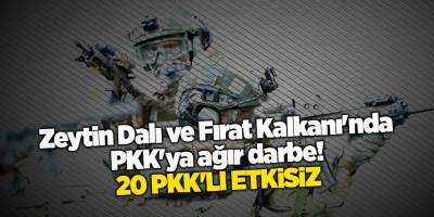 Zeytin Dalı ve Fırat Kalkanı'nda PKK'ya ağır darbe! 20 PKK'lı etkisiz