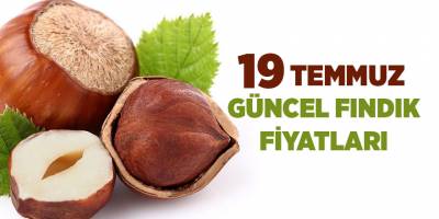 19 Temmuz güncel fındık fiyatları
