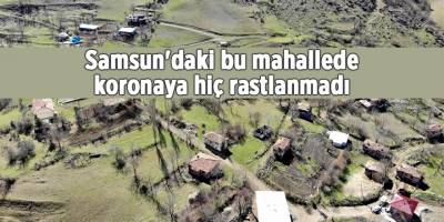 Samsun'daki bu mahallede koronaya hiç rastlanmadı