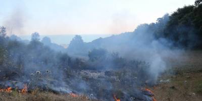 Samsun'da örtü yangını! 3 dönüm alan zarar gördü - samsun haber