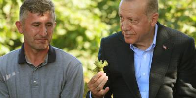 Cumhurbaşkanı Erdoğan fındık bahçesinde