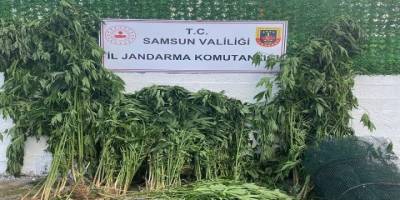 Samsun'da narkotik operasyonu - samsun haber