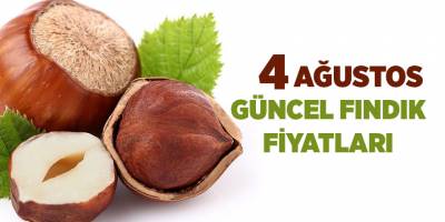 4 Ağustos güncel fındık fiyatları