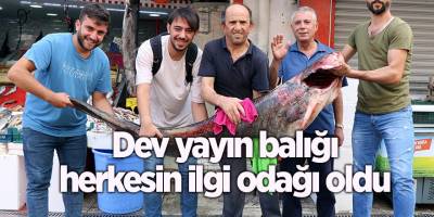 Dev yayın balığı herkesin ilgi odağı oldu