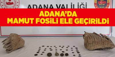 Adana’da mamut fosili ele geçirildi