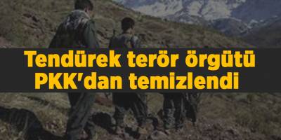 Tendürek terör örgütü PKK'dan temizlendi 