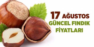 17 Ağustos güncel fındık fiyatları