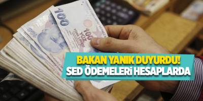 Bakan Yanık duyurdu! SED ödemeleri hesaplarda