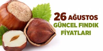 26 Ağustos güncel fındık fiyatları
