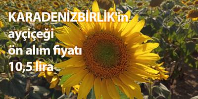 KARADENİZBİRLİK'in ayçiçeği ön alım fiyatı 10,5 lira