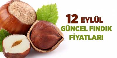 12 Eylül güncel fındık fiyatları