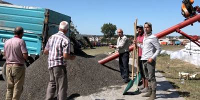 Bafra'da ayçiçeği alımları başladı - samsun haber