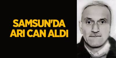 Samsun'da arı can aldı - samsun haber