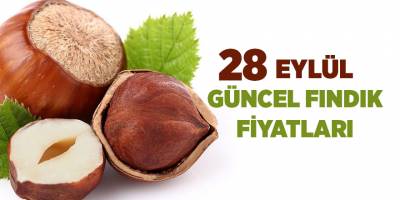 28 Eylül güncel fındık fiyatları