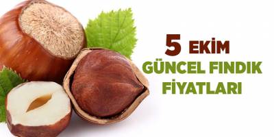5 Ekim güncel fındık fiyatları