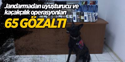 Jandarmadan uyuşturucu ve kaçakçılık operasyonları 65 gözaltı - samsun haber