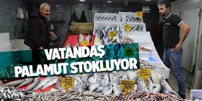 Vatandaş palamut stokluyor - samsun haber