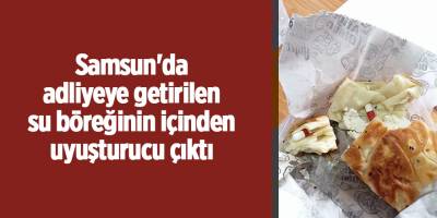 Samsun'da adliyeye getirilen su böreğinin içinden uyuşturucu çıktı - samsun haber