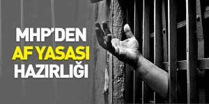 MHP af yasası hazırlığına başladı