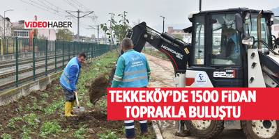 Tekkeköy’de 1500 fidan toprakla buluştu - samsun haber