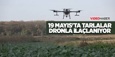 19 Mayıs'ta tarlalar dronla ilaçlanıyor - samsun haber