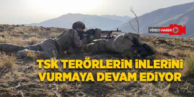 TSK terörlerin inlerini vurmaya devam ediyor