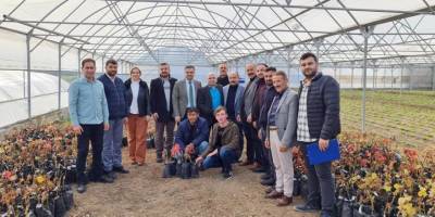 Vezirköprü’de üreticilere destek - samsun haber