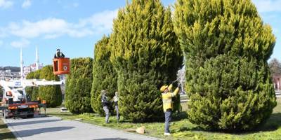 Samsun'da yeşil alanlar çoğalıyor - samsun haber