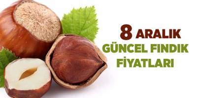 8 Aralık güncel fındık fiyatları