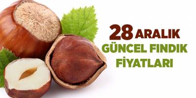 28 Aralık güncel fındık fiyatları