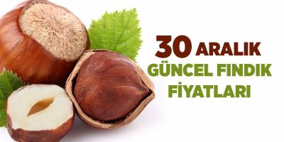 30 Aralık güncel fındık fiyatları