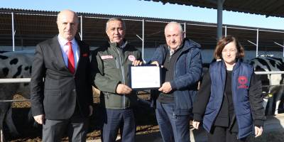 Samsun'da Ari İşletme sayısı arttı